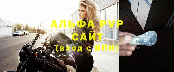 прущие грибы Абаза