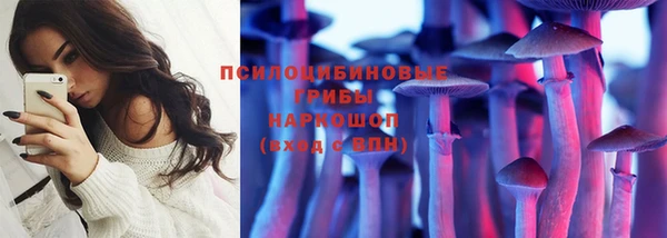 прущие грибы Абаза