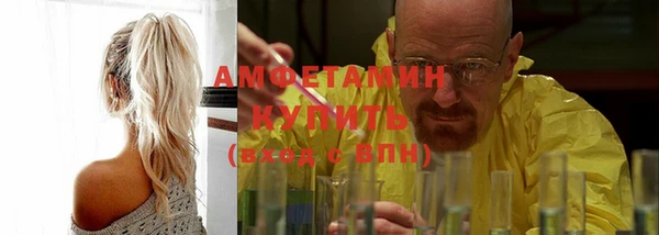 apvp Иннополис