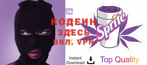 прущие грибы Абаза