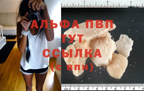 прущие грибы Абаза