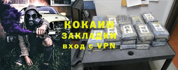прущие грибы Абаза