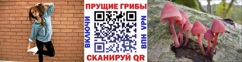 маркетплейс телеграм  Никольск  Галлюциногенные грибы GOLDEN TEACHER 